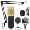 Micrófono Con Condensador + Usb 7,1 BM-800TZ