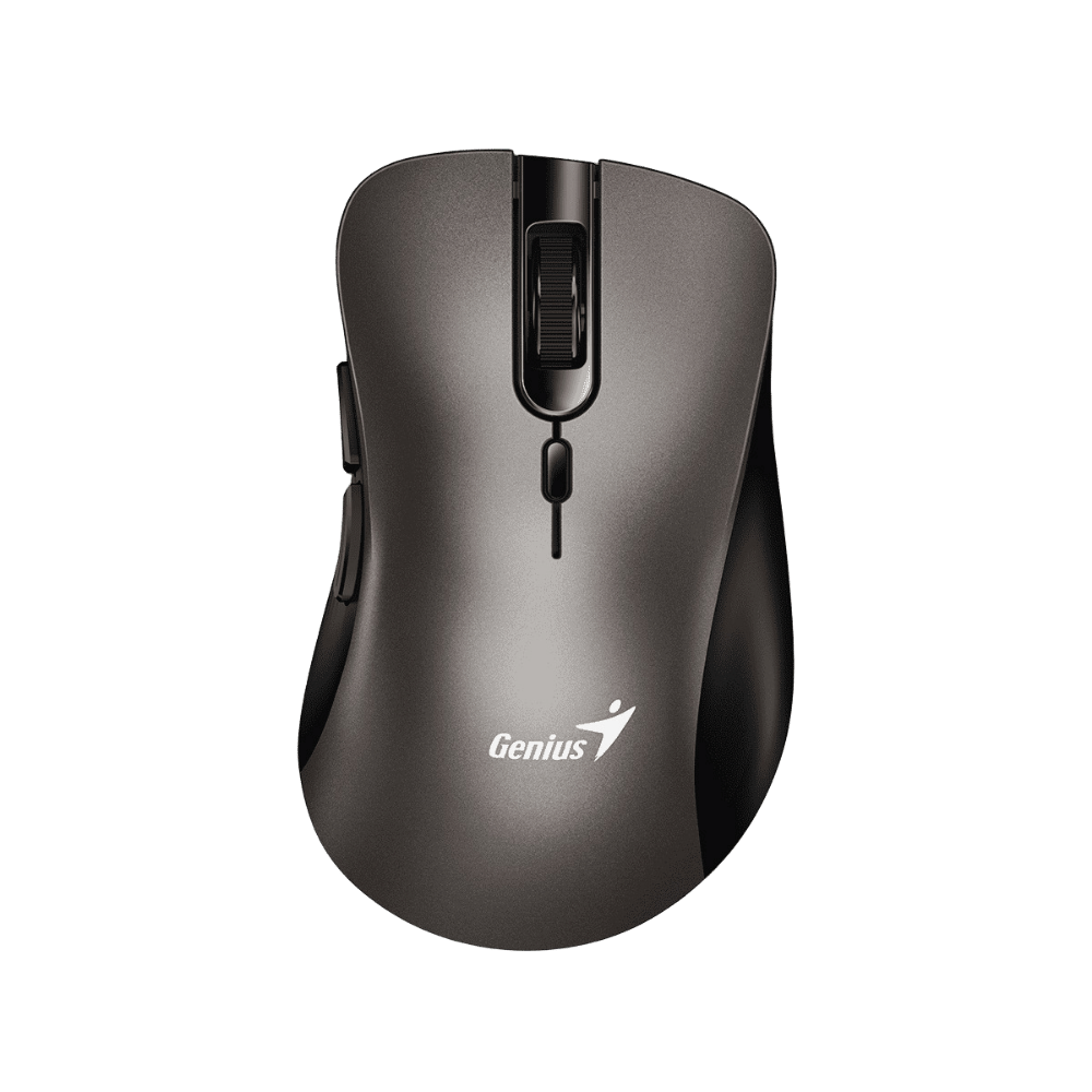 Mouse Genius Ergo 8100S Champagne Titanium