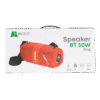 Speaker Bt 30w Sing – Jt669 30810 (6)